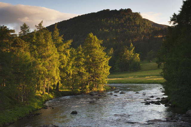 River Dee Near Balmoral